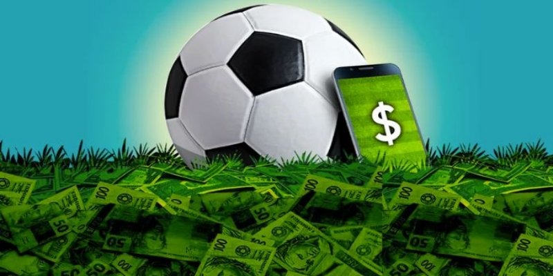 Tổng hợp các nội dung quan trọng được trang kèo nhà cái chia sẻ